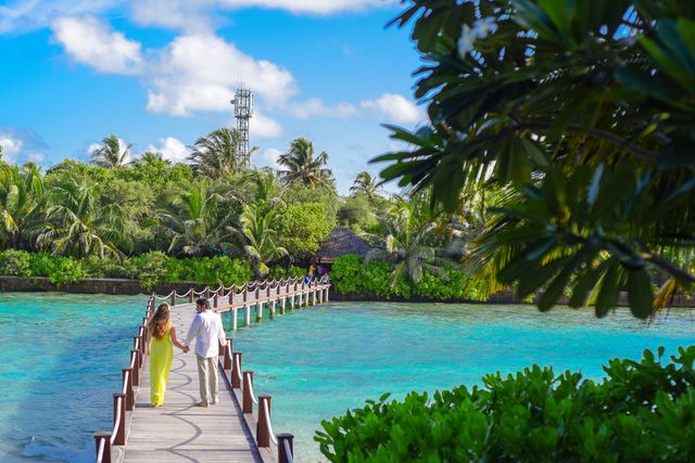 Gorillas, Migration & Zanzibar Honeymoon